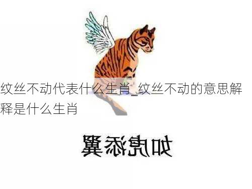 纹丝不动代表什么生肖_纹丝不动的意思解释是什么生肖