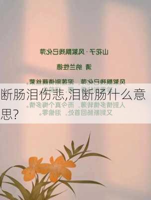 断肠泪伤悲,泪断肠什么意思?