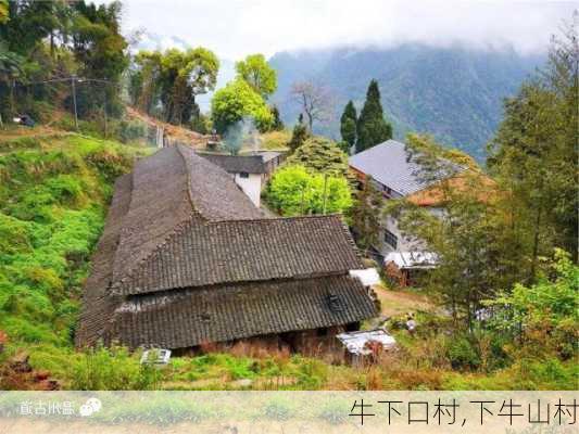 牛下口村,下牛山村