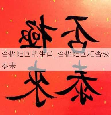 否极阳回的生肖_否极阳回和否极泰来