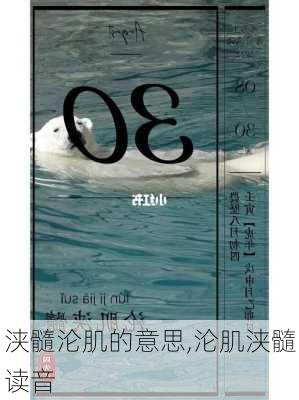 浃髓沦肌的意思,沦肌浃髓读音