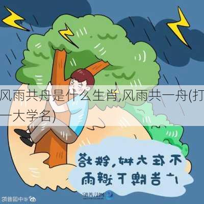 风雨共舟是什么生肖,风雨共一舟(打一大学名)