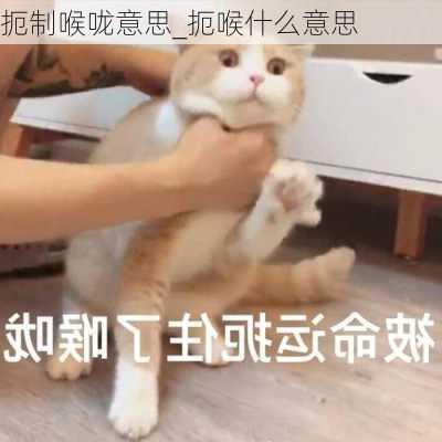 扼制喉咙意思_扼喉什么意思