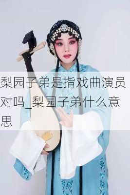 梨园子弟是指戏曲演员对吗_梨园子弟什么意思