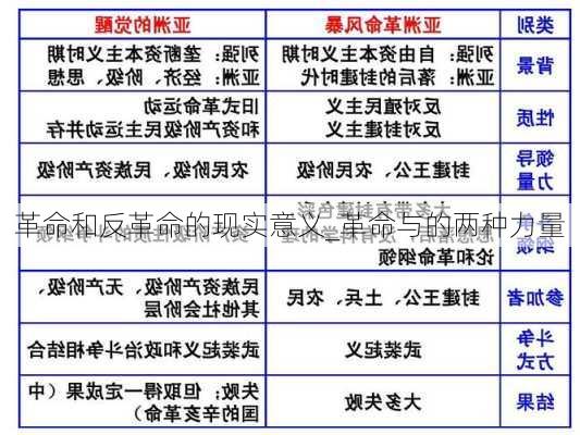 革命和反革命的现实意义_革命与的两种力量