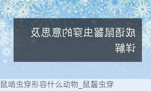 鼠啮虫穿形容什么动物_鼠齧虫穿