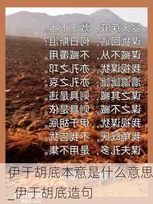 伊于胡底本意是什么意思_伊于胡底造句