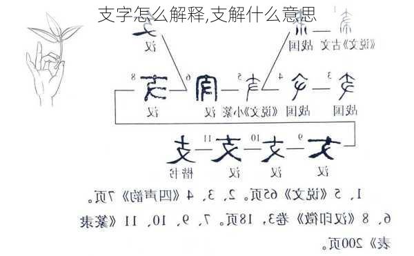 支字怎么解释,支解什么意思