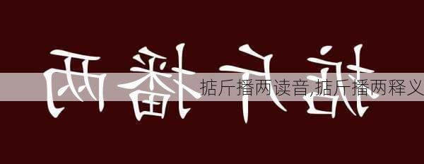 掂斤播两读音,掂斤播两释义