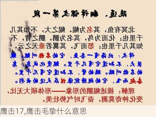 鹰击17,鹰击毛挚什么意思