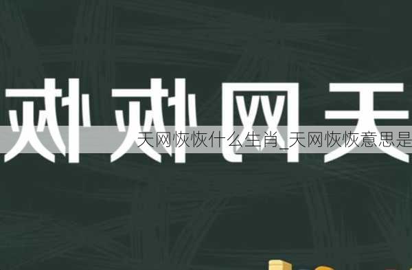 天网恢恢什么生肖_天网恢恢意思是