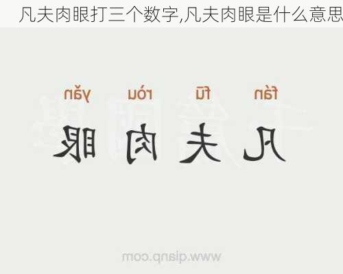 凡夫肉眼打三个数字,凡夫肉眼是什么意思