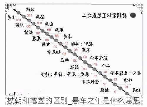 杖朝和耄耋的区别_悬车之年是什么意思