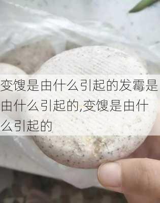 变馊是由什么引起的发霉是由什么引起的,变馊是由什么引起的