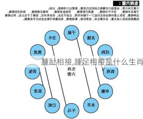 踵趾相接,踵足相接是什么生肖