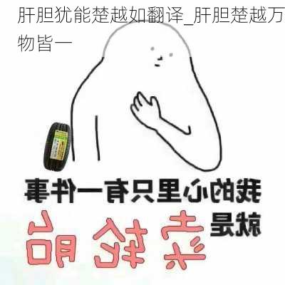 肝胆犹能楚越如翻译_肝胆楚越万物皆一