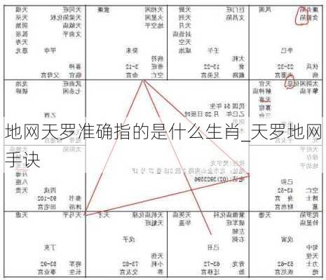 地网天罗准确指的是什么生肖_天罗地网手诀