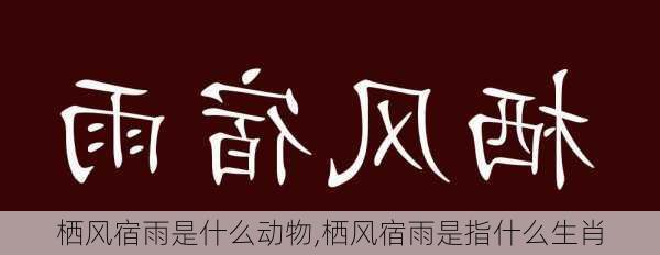 栖风宿雨是什么动物,栖风宿雨是指什么生肖