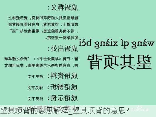 望其项背的意思解释_望其项背的意思?