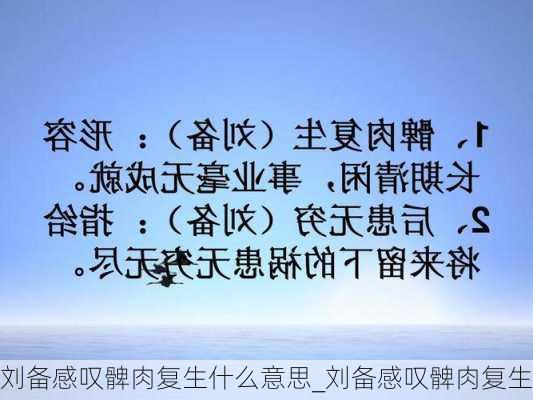 刘备感叹髀肉复生什么意思_刘备感叹髀肉复生