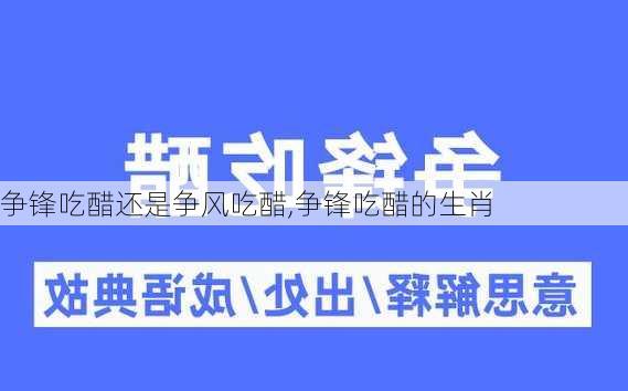 争锋吃醋还是争风吃醋,争锋吃醋的生肖