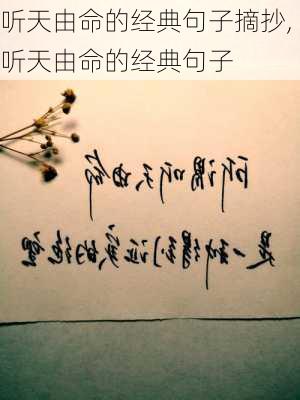 听天由命的经典句子摘抄,听天由命的经典句子