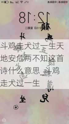 斗鸡走犬过一生天地安危两不知这首诗什么意思_斗鸡走犬过一生