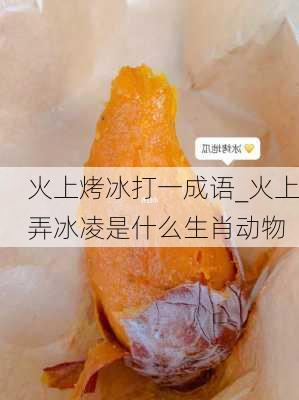 火上烤冰打一成语_火上弄冰凌是什么生肖动物