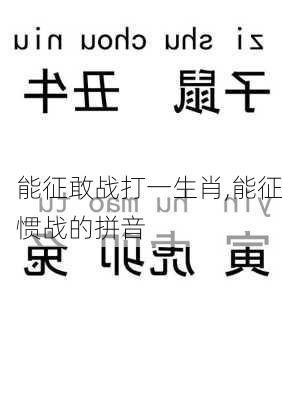 能征敢战打一生肖,能征惯战的拼音