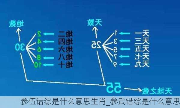 参伍错综是什么意思生肖_参武错综是什么意思