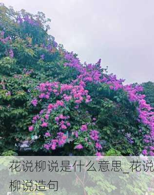 花说柳说是什么意思_花说柳说造句