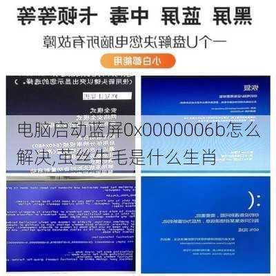 电脑启动蓝屏0x0000006b怎么解决,茧丝牛毛是什么生肖