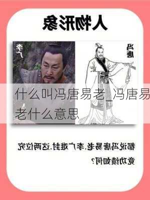 什么叫冯唐易老_冯唐易老什么意思