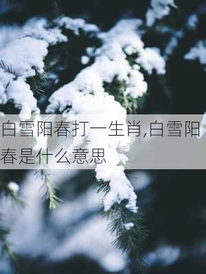 白雪阳春打一生肖,白雪阳春是什么意思