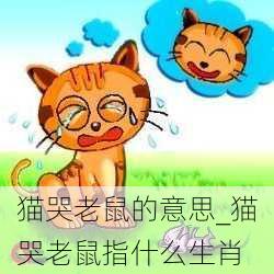 猫哭老鼠的意思_猫哭老鼠指什么生肖