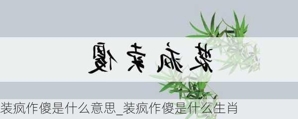 装疯作傻是什么意思_装疯作傻是什么生肖