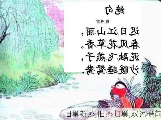 旧巢新燕,旧燕归巢,双语檐前