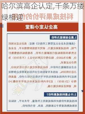 哈尔滨高企认定,千条万缕绿相迎