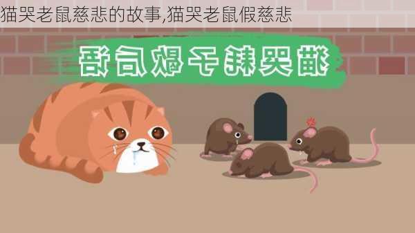 猫哭老鼠慈悲的故事,猫哭老鼠假慈悲