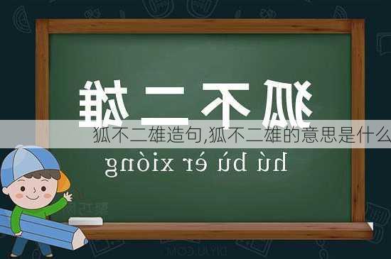 狐不二雄造句,狐不二雄的意思是什么