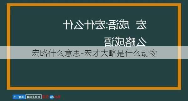 宏略什么意思-宏才大略是什么动物