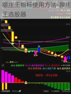 跟庄王指标使用方法-跟庄王选股器