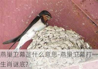 燕巢卫幕是什么意思-燕巢卫幕打一生肖谜底?